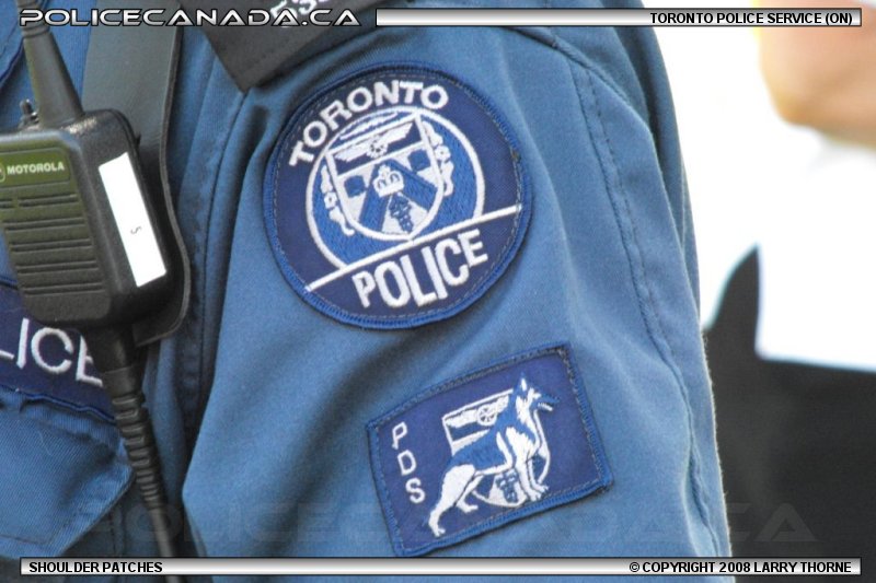 toronto canada police department phone number